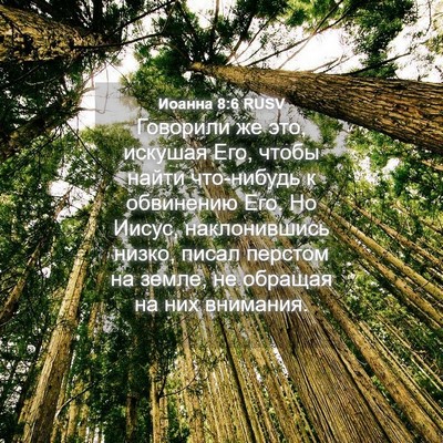 Picture 04 - Иоанна 8:6 RUSV - Говорили же это, искушая - Bible Verse Picture
