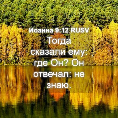 Picture 04 - Иоанна 9:12 RUSV - Тогда сказали ему: где Он? - Bible Verse Picture
