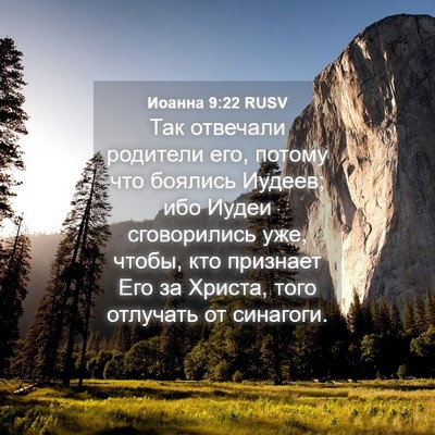 Picture 04 - Иоанна 9:22 RUSV - Так отвечали родители его, - Bible Verse Picture