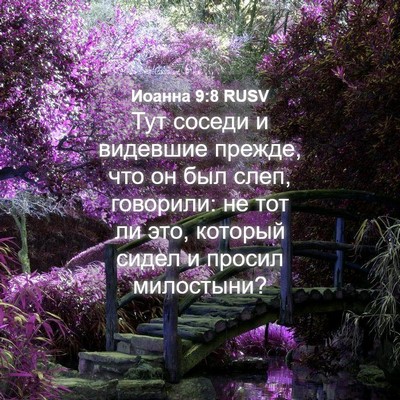 Picture 04 - Иоанна 9:8 RUSV - Тут соседи и видевшие - Bible Verse Picture
