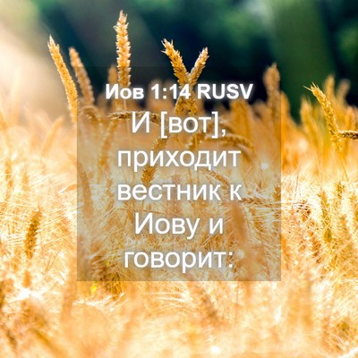 Picture 04 - Иов 1:14 RUSV - И [вот], приходит вестник к - Bible Verse Picture