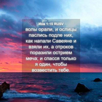 Picture 04 - Иов 1:15 RUSV - волы орали, и ослицы - Bible Verse Picture
