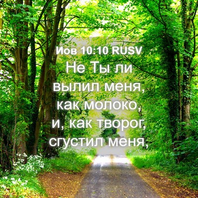 Picture 04 - Иов 10:10 RUSV - Не Ты ли вылил меня, как - Bible Verse Picture