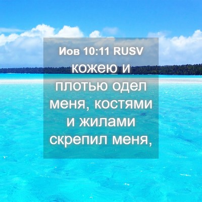 Picture 04 - Иов 10:11 RUSV - кожею и плотью одел меня, - Bible Verse Picture