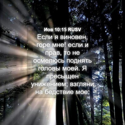 Picture 04 - Иов 10:15 RUSV - Если я виновен, горе мне! - Bible Verse Picture