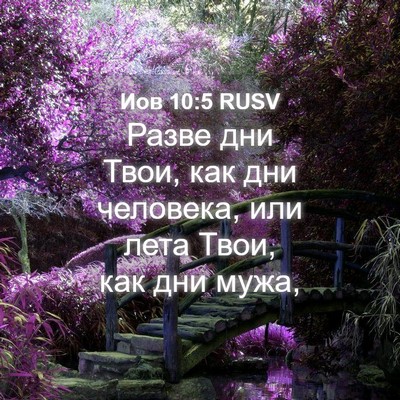 Picture 04 - Иов 10:5 RUSV - Разве дни Твои, как дни - Bible Verse Picture