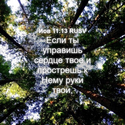 Picture 04 - Иов 11:13 RUSV - Если ты управишь сердце - Bible Verse Picture