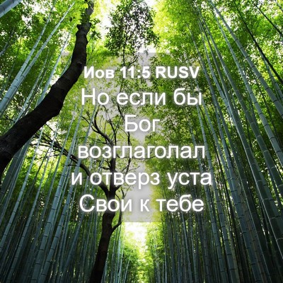 Picture 04 - Иов 11:5 RUSV - Но если бы Бог возглаголал - Bible Verse Picture