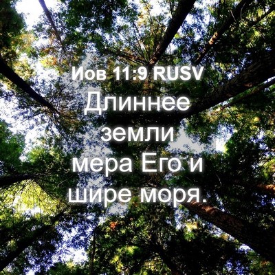 Picture 04 - Иов 11:9 RUSV - Длиннее земли мера Его и - Bible Verse Picture