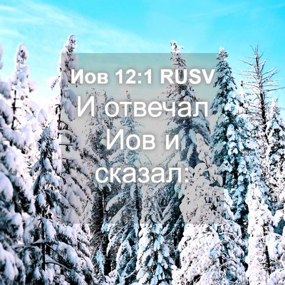 Picture 04 - Иов 12:1 RUSV - И отвечал Иов и - Bible Verse Picture
