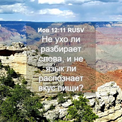 Picture 04 - Иов 12:11 RUSV - Не ухо ли разбирает слова, - Bible Verse Picture