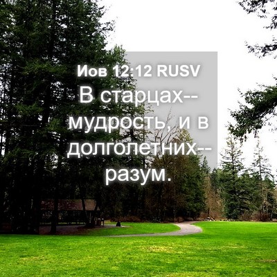 Picture 04 - Иов 12:12 RUSV - В старцах--мудрость, и в - Bible Verse Picture
