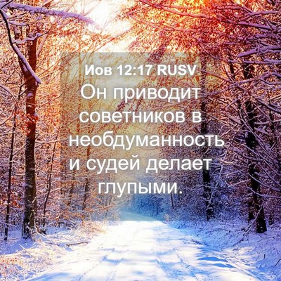 Picture 04 - Иов 12:17 RUSV - Он приводит советников в - Bible Verse Picture