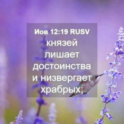 Picture 04 - Иов 12:19 RUSV - князей лишает достоинства - Bible Verse Picture
