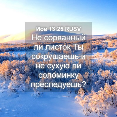 Picture 04 - Иов 13:25 RUSV - Не сорванный ли листок Ты - Bible Verse Picture