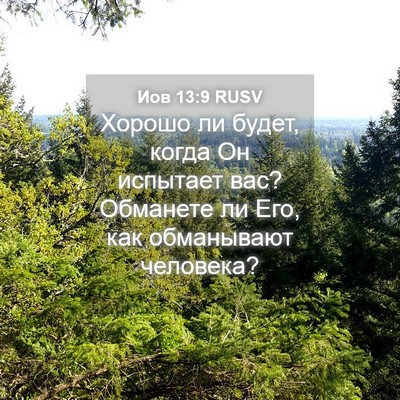 Picture 04 - Иов 13:9 RUSV - Хорошо ли будет, когда Он - Bible Verse Picture