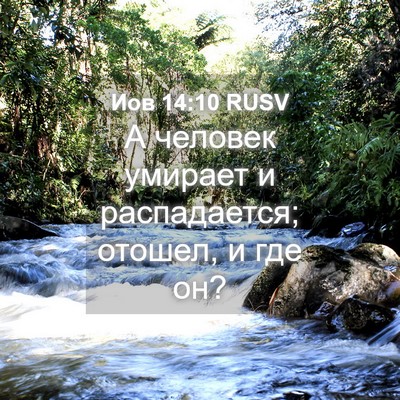 Picture 04 - Иов 14:10 RUSV - А человек умирает и - Bible Verse Picture