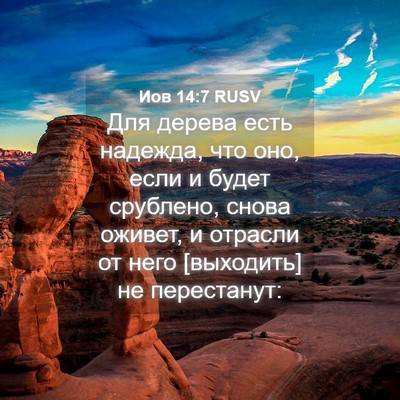 Picture 04 - Иов 14:7 RUSV - Для дерева есть надежда, - Bible Verse Picture