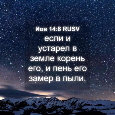 Picture 04 - Иов 14:8 RUSV - если и устарел в земле - Bible Verse Picture