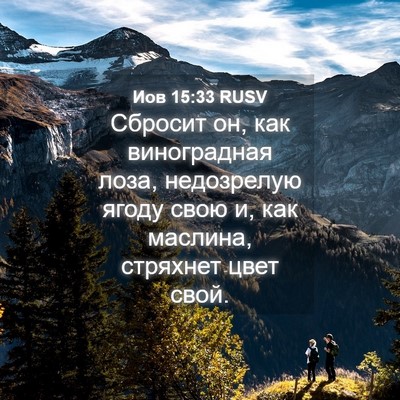 Picture 04 - Иов 15:33 RUSV - Сбросит он, как - Bible Verse Picture