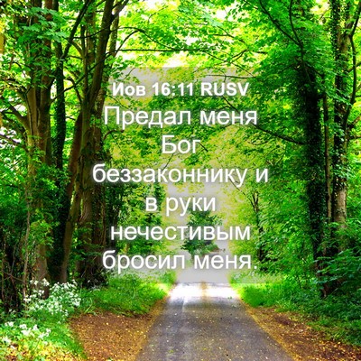 Picture 04 - Иов 16:11 RUSV - Предал меня Бог - Bible Verse Picture