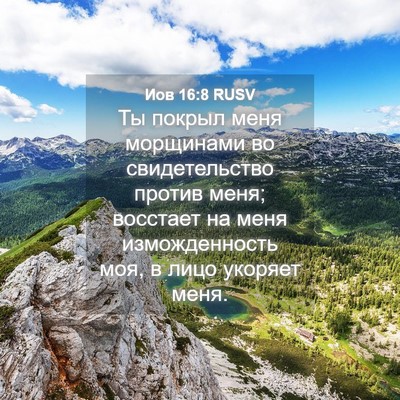 Picture 04 - Иов 16:8 RUSV - Ты покрыл меня морщинами - Bible Verse Picture