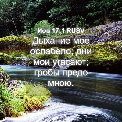 Picture 04 - Иов 17:1 RUSV - Дыхание мое ослабело; дни - Bible Verse Picture