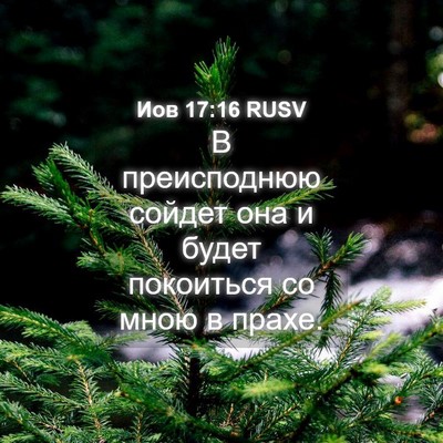 Picture 04 - Иов 17:16 RUSV - В преисподнюю сойдет она и - Bible Verse Picture