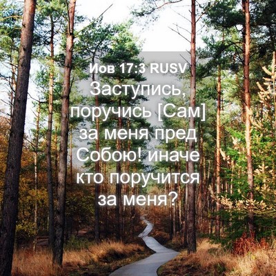 Picture 04 - Иов 17:3 RUSV - Заступись, поручись [Сам] - Bible Verse Picture