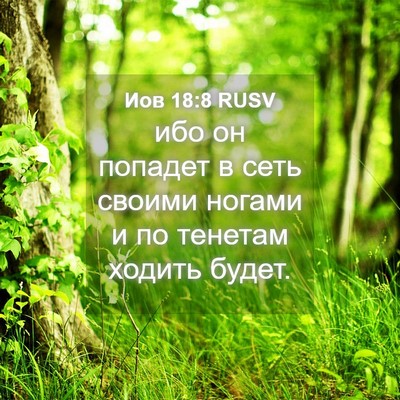 Picture 04 - Иов 18:8 RUSV - ибо он попадет в сеть - Bible Verse Picture