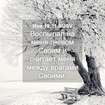 Picture 04 - Иов 19:11 RUSV - Воспылал на меня гневом - Bible Verse Picture