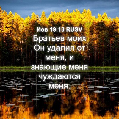 Picture 04 - Иов 19:13 RUSV - Братьев моих Он удалил от - Bible Verse Picture