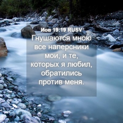 Picture 04 - Иов 19:19 RUSV - Гнушаются мною все - Bible Verse Picture