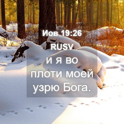 Picture 04 - Иов 19:26 RUSV - и я во плоти моей узрю - Bible Verse Picture