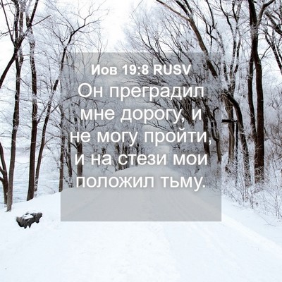 Picture 04 - Иов 19:8 RUSV - Он преградил мне дорогу, и - Bible Verse Picture