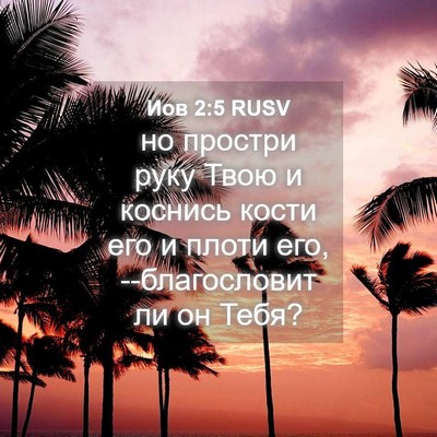 Picture 04 - Иов 2:5 RUSV - но простри руку Твою и - Bible Verse Picture