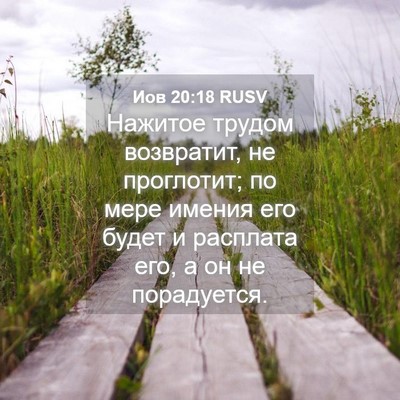 Picture 04 - Иов 20:18 RUSV - Нажитое трудом возвратит, - Bible Verse Picture