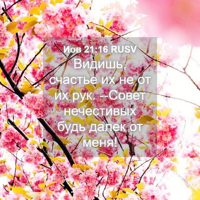Picture 04 - Иов 21:16 RUSV - Видишь, счастье их не от их - Bible Verse Picture