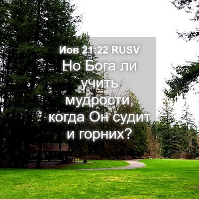 Picture 04 - Иов 21:22 RUSV - Но Бога ли учить мудрости, - Bible Verse Picture