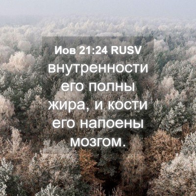 Picture 04 - Иов 21:24 RUSV - внутренности его полны - Bible Verse Picture