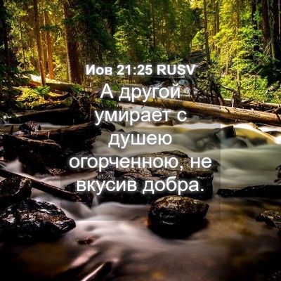 Picture 04 - Иов 21:25 RUSV - А другой умирает с душею - Bible Verse Picture