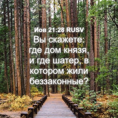Picture 04 - Иов 21:28 RUSV - Вы скажете: где дом князя, и - Bible Verse Picture