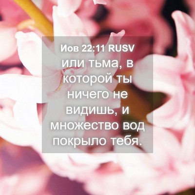 Picture 04 - Иов 22:11 RUSV - или тьма, в которой ты - Bible Verse Picture