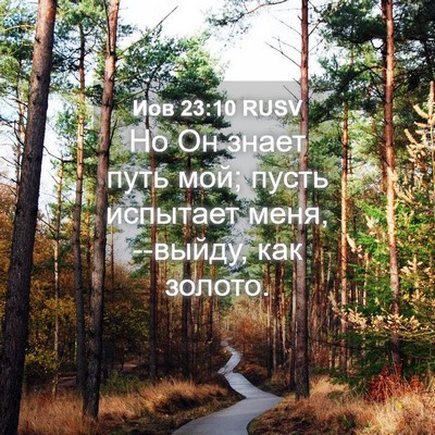 Picture 04 - Иов 23:10 RUSV - Но Он знает путь мой; пусть - Bible Verse Picture