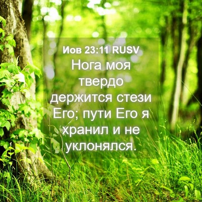 Picture 04 - Иов 23:11 RUSV - Нога моя твердо держится - Bible Verse Picture