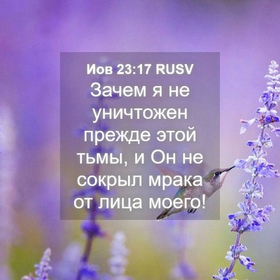 Picture 04 - Иов 23:17 RUSV - Зачем я не уничтожен - Bible Verse Picture
