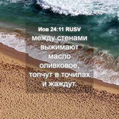 Picture 04 - Иов 24:11 RUSV - между стенами выжимают - Bible Verse Picture