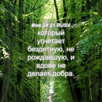 Picture 04 - Иов 24:21 RUSV - который угнетает - Bible Verse Picture