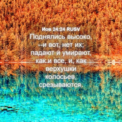 Picture 04 - Иов 24:24 RUSV - Поднялись высоко, --и вот, - Bible Verse Picture
