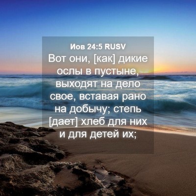 Picture 04 - Иов 24:5 RUSV - Вот они, [как] дикие ослы в - Bible Verse Picture